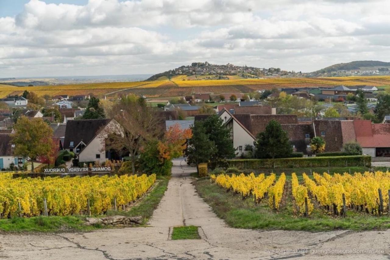 "La Veranda" Gite Verdigny Bagian luar foto