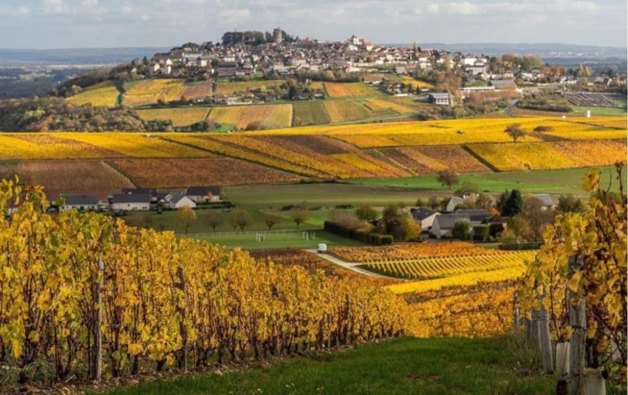 "La Veranda" Gite Verdigny Bagian luar foto